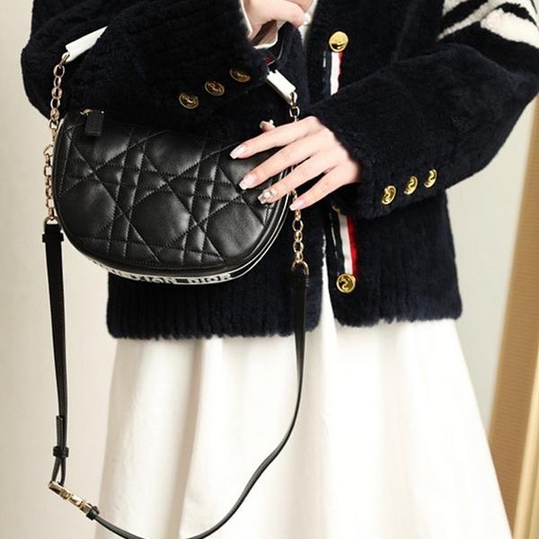 디올 바이브 호보백